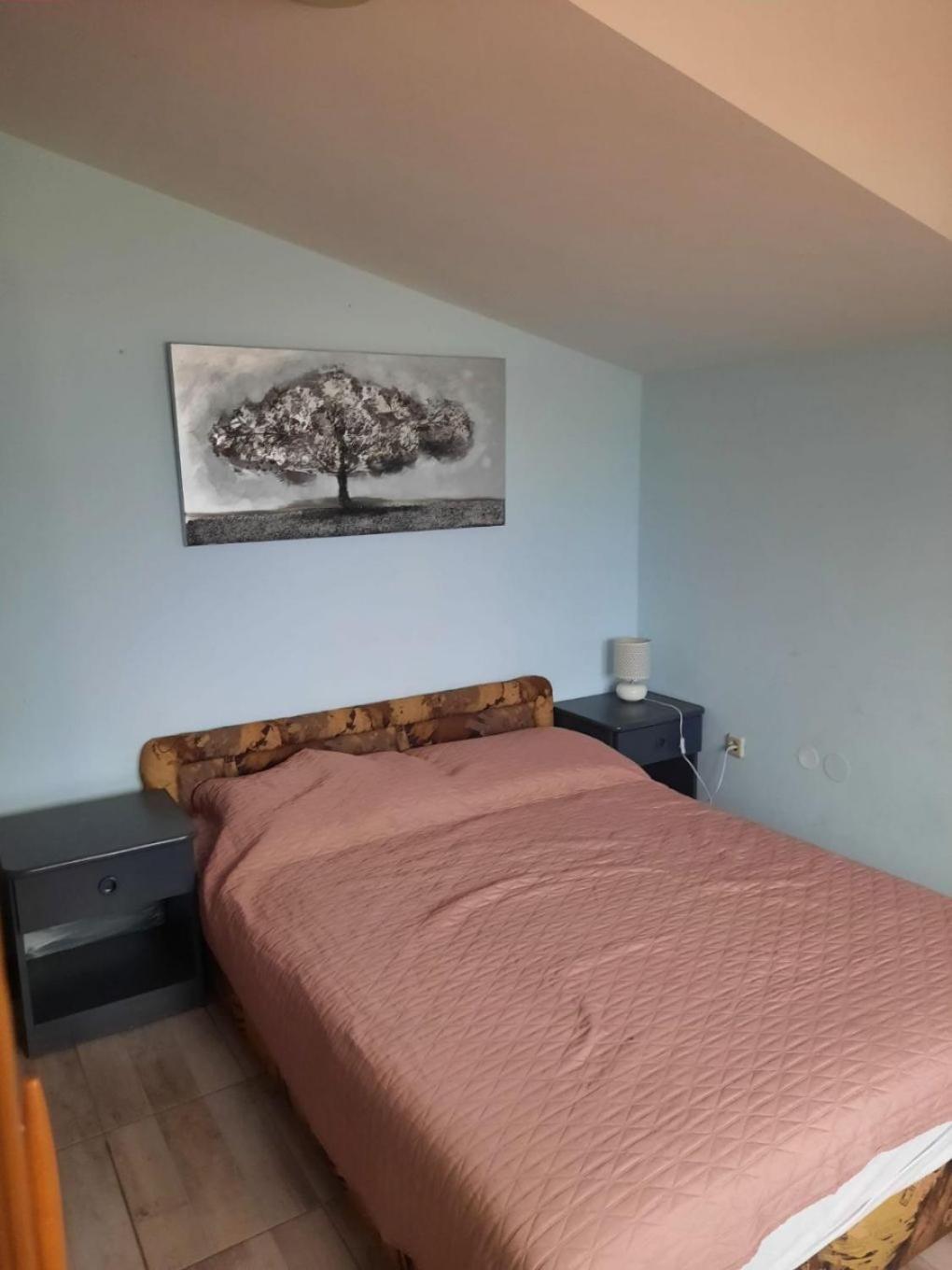 Apartments Visnja Нін Екстер'єр фото