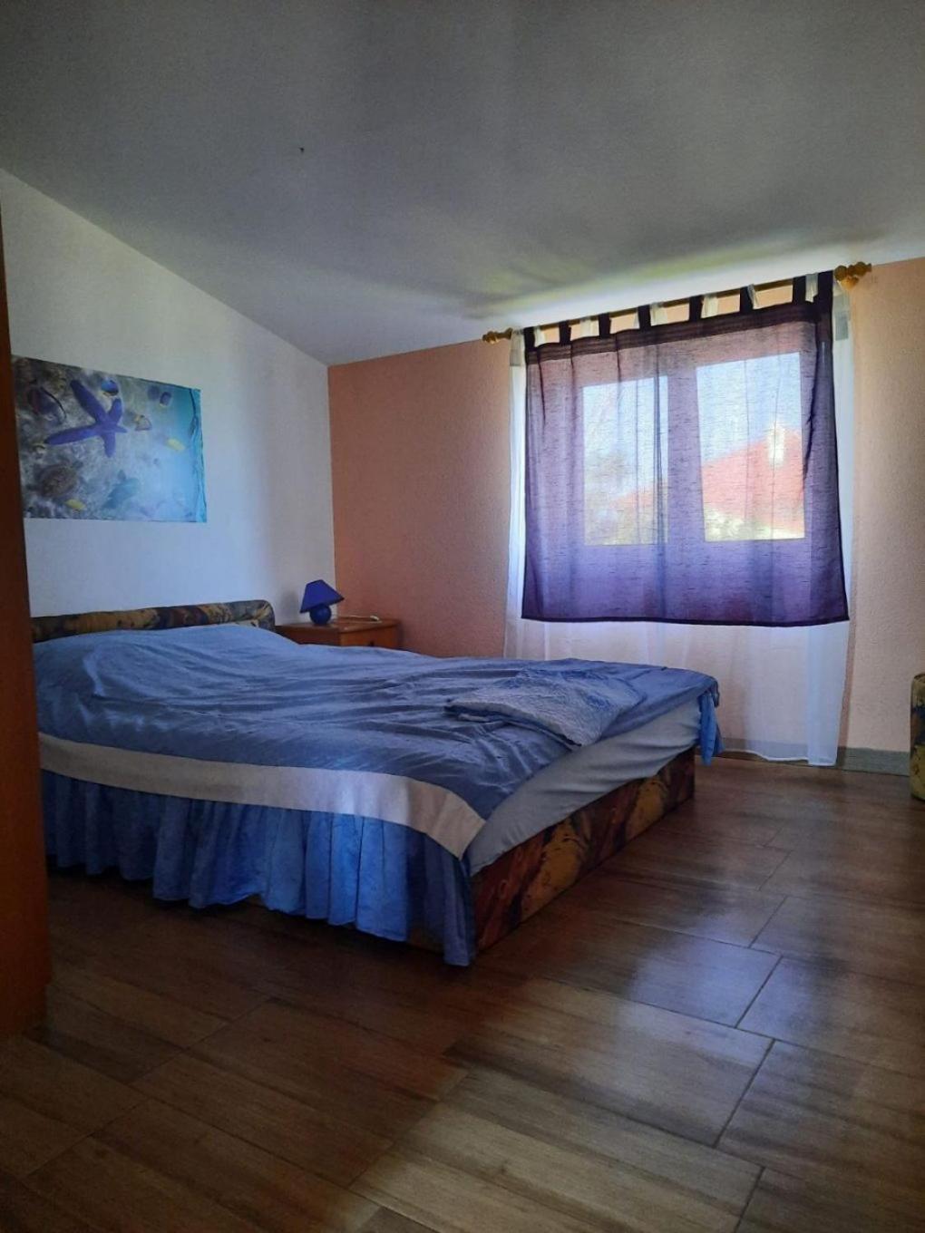Apartments Visnja Нін Екстер'єр фото